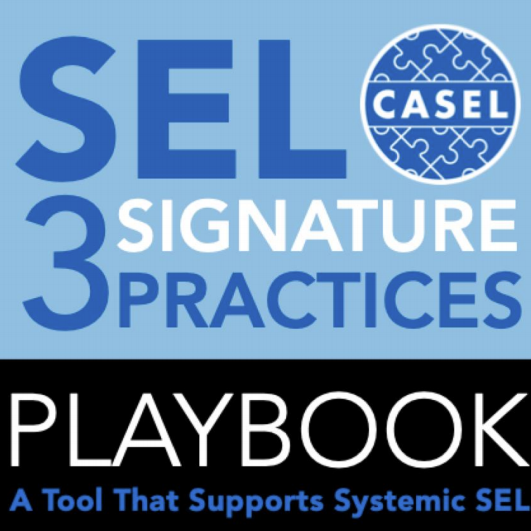 CASEL 3 Signature Practices