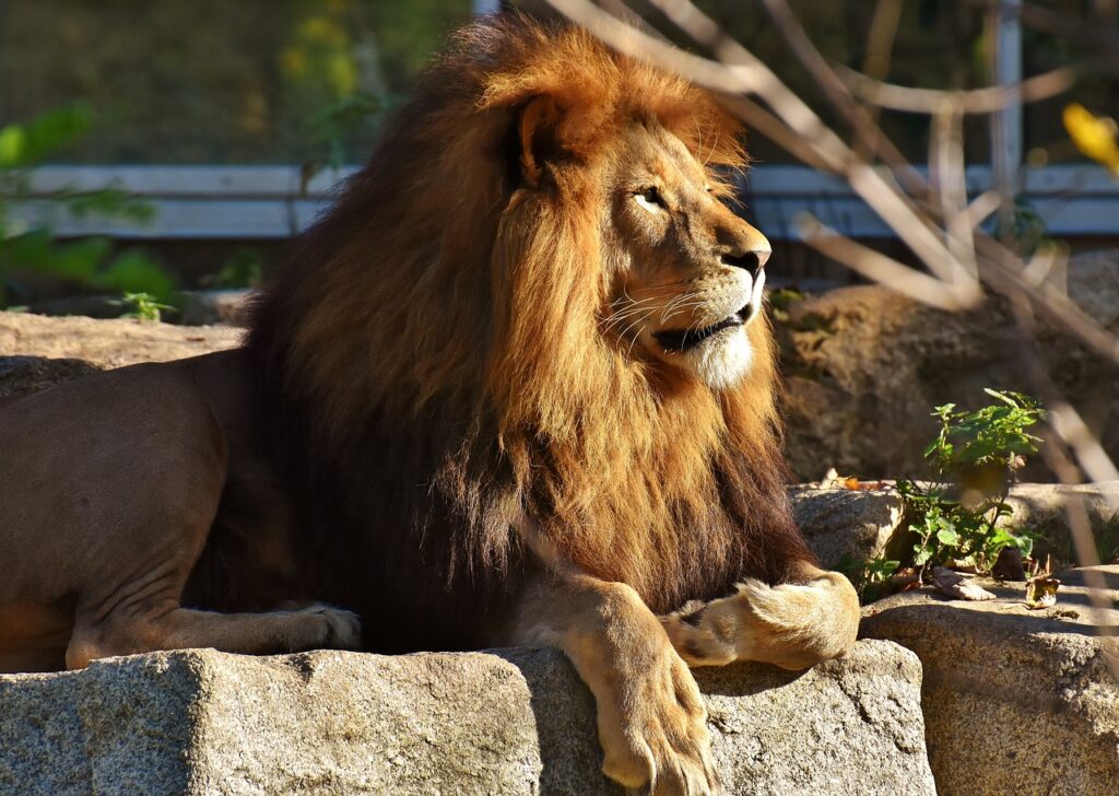 San Diego Zoo